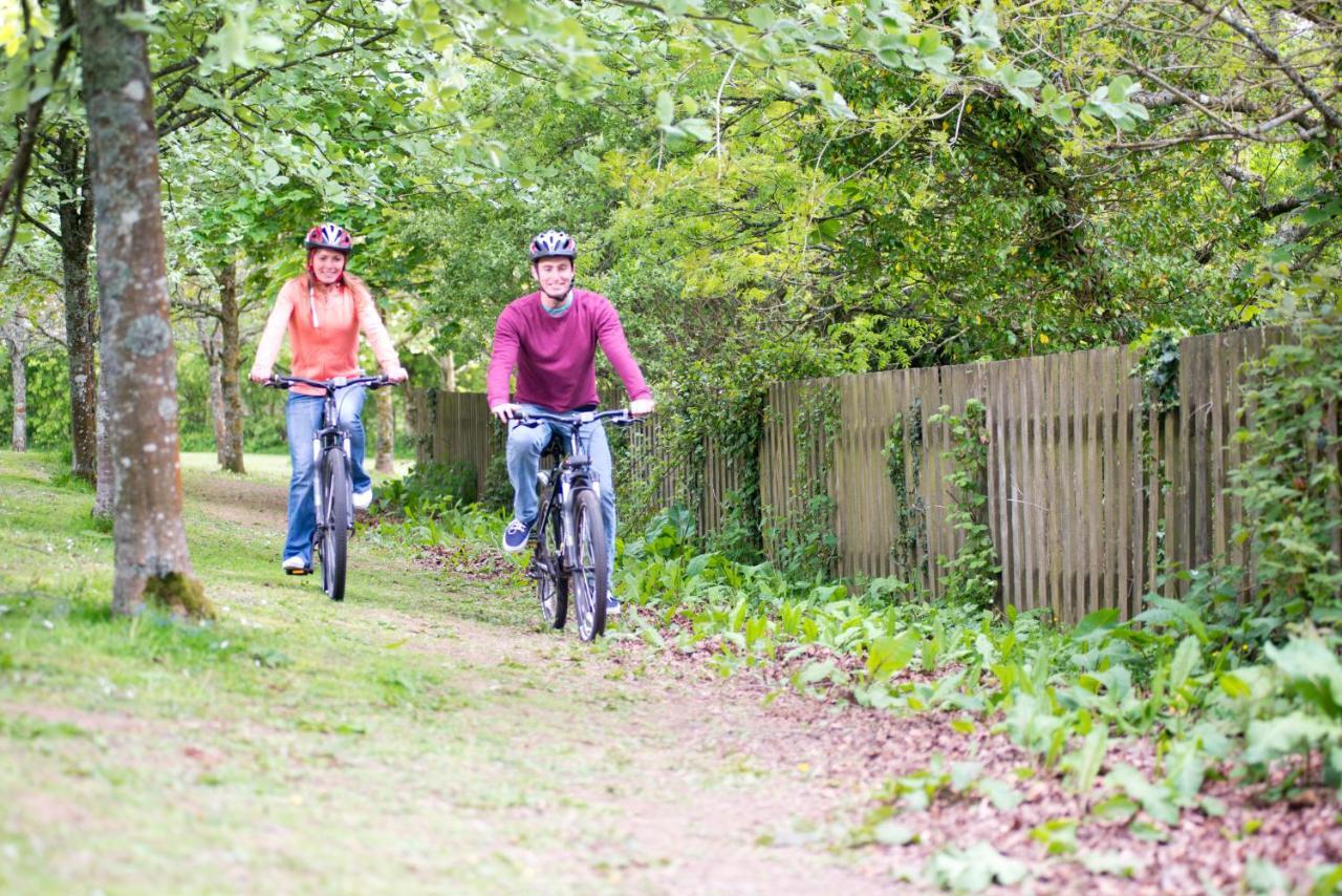 Trelawne Manor Holiday Park Лоо Екстер'єр фото